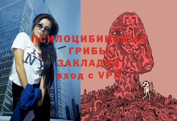 спиды Балахна