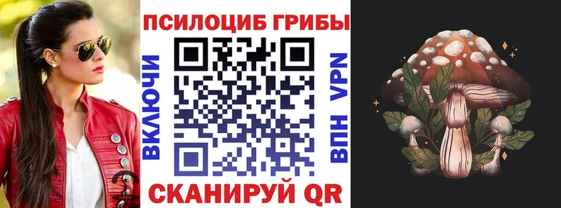 сколько стоит  Белёв  Галлюциногенные грибы мухоморы 