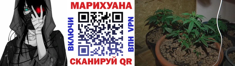 Каннабис план  Белёв 